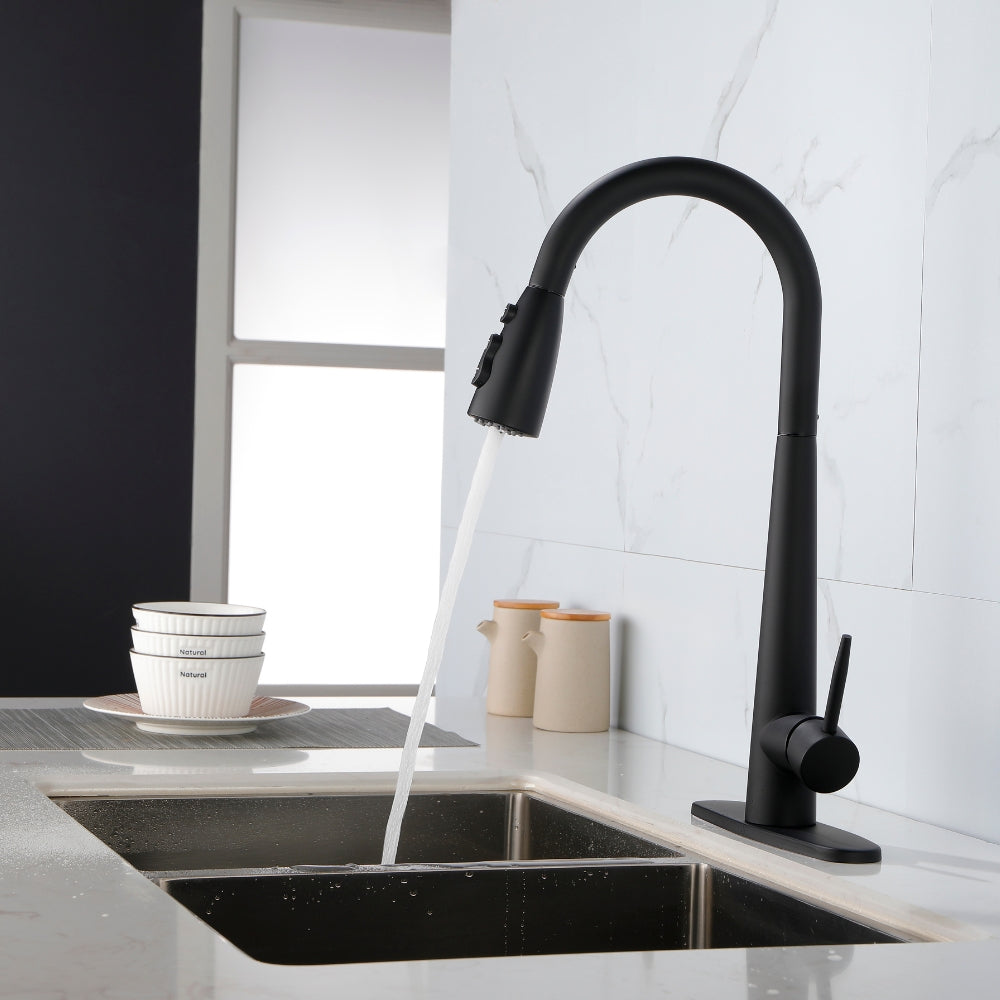 Black Kitchen Faucet with Pull Down Sprayer