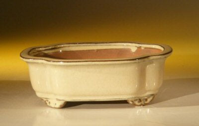 Beige Ceramic Bonsai Pot - Oval 7.0" x 5.5" x 2.375"