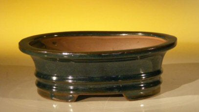Dark Green Ceramic Bonsai Pot - Oval 8 1/8" x 6.75" x 2.75"