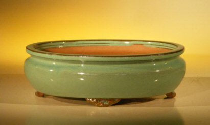 Green Ceramic Bonsai Pot - Oval 10" x 8" x 3.125"