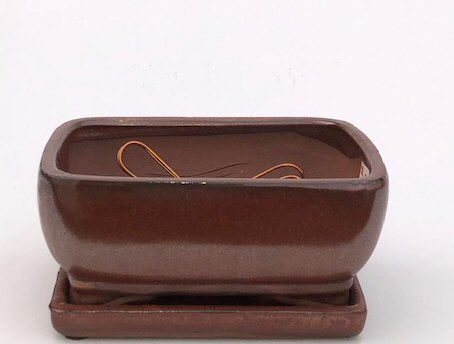 Aztec Orange Ceramic Bonsai Pot Professional Series Rectangle - With Attached Humidity/Drip Tray 8.25" x 6.5" x 4"