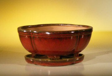 Parisian Red Ceramic Bonsai Pot - Oval Professional Series with Attached Humidity/Drip tray 8.5" x 6.5" x 3.5"