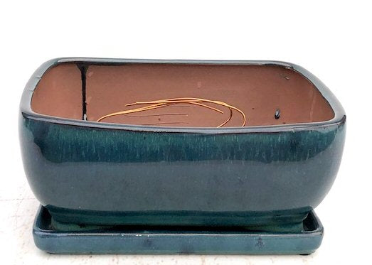 Blue / Green Ceramic Bonsai Pot - Rectangle Professional Series with Attached Humidity/Drip Tray 10.75" x 8.5" x 4.125"