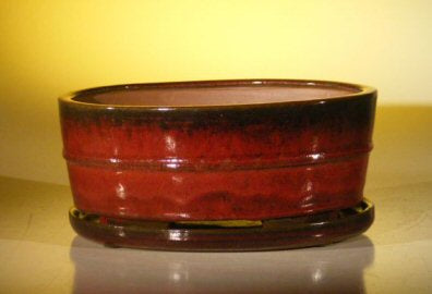 Parisian Red Ceramic Bonsai Pot - Oval Professional Series with Attached Humidity/Drip Tray 10.75" x 8.5" x 4.125"