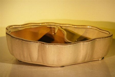 Beige Ceramic Bonsai Pot - Oval with Scalloped Edges - Land/Water Divider 8.75" x 6.0" x 3.0”