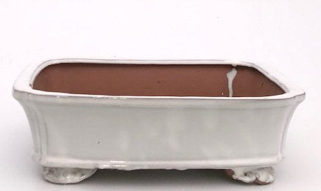 White Ceramic Bonsai Pot - Rectangle 12.5" x 10.0" x 4.0"