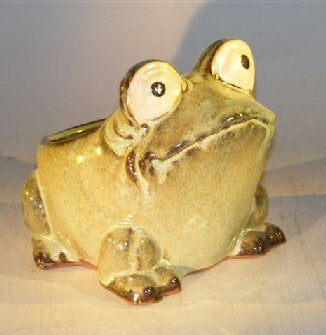 Light Green Frog Planter 7.0" x 9.0" x 7.5"