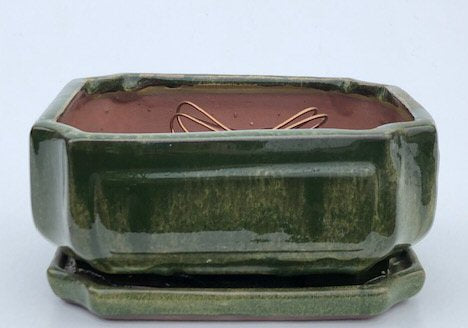 Wood-lawn Green Ceramic Bonsai Pot - Rectangle Professional Series with Attached Humidity/Drip tray 8" x 6" x 4"