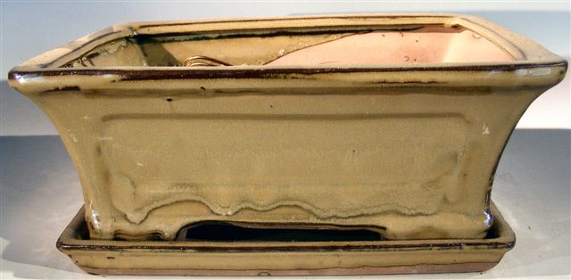 Olive Green Ceramic Bonsai Pot - Rectangle Professional Series with Attached Humidity/Drip Tray 10.25" x 8.0" x 4.125" OD 9.0" x 7.0" x 3.25" ID