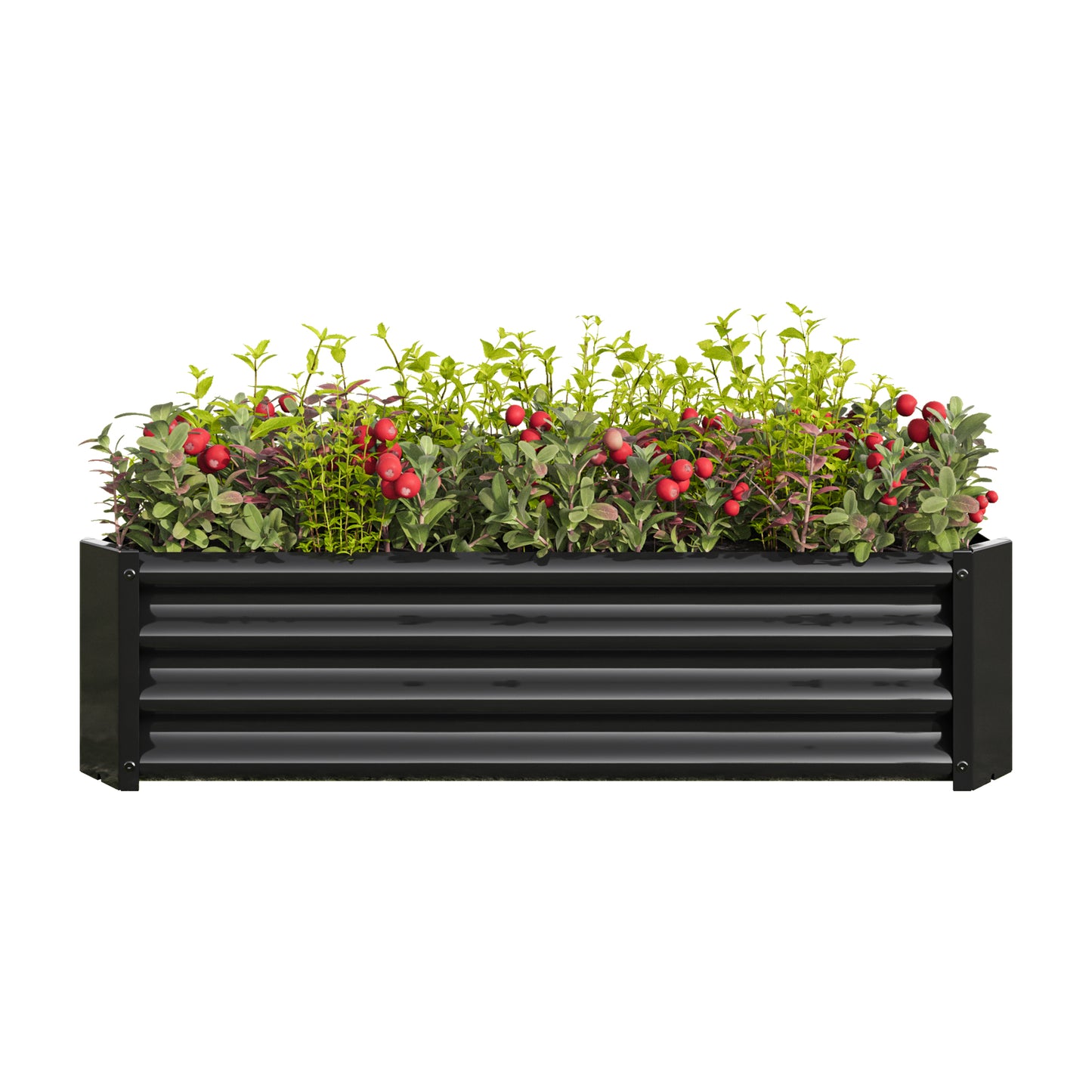 Metal Raised Garden Flower Bed Rectangular Raised Herb Planter