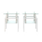 2 pcs Modern Design Coffee Table Tempered Glass End Table Night Stand- Transparent/White