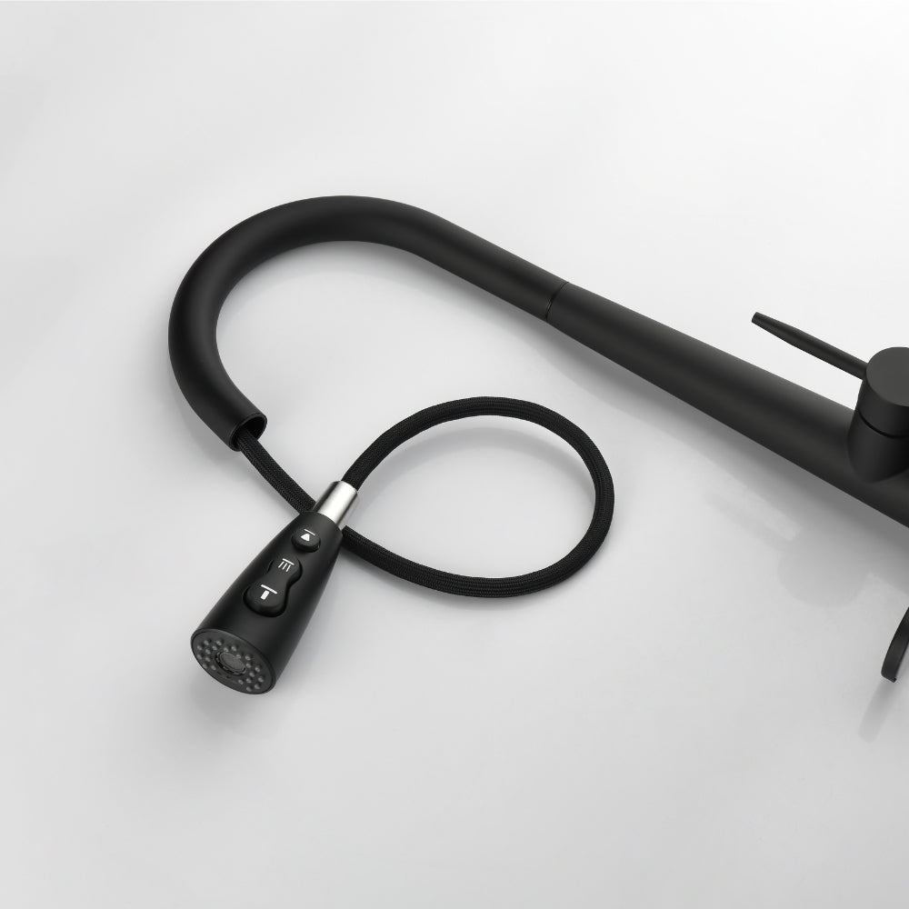 Black Kitchen Faucet with Pull Down Sprayer