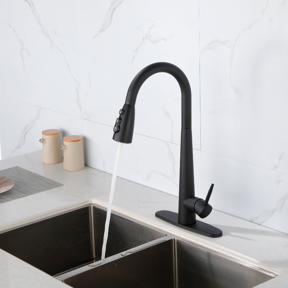 Black Kitchen Faucet with Pull Down Sprayer