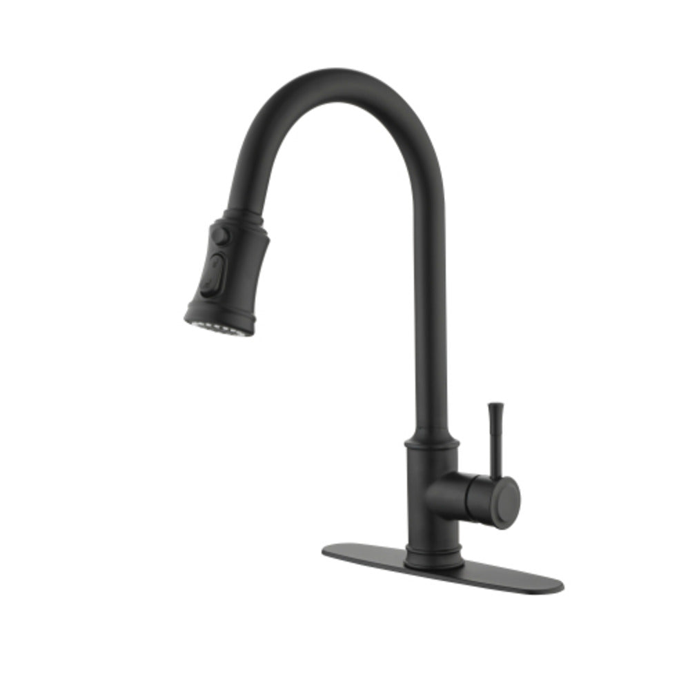 High Arc Single Handle Pull Out Kitchen Faucet Stainless Steel with Pull Down Sprayer