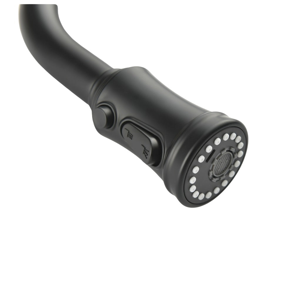 High Arc Single Handle Pull Out Kitchen Faucet Stainless Steel with Pull Down Sprayer