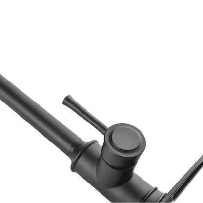 High Arc Single Handle Pull Out Kitchen Faucet Stainless Steel with Pull Down Sprayer