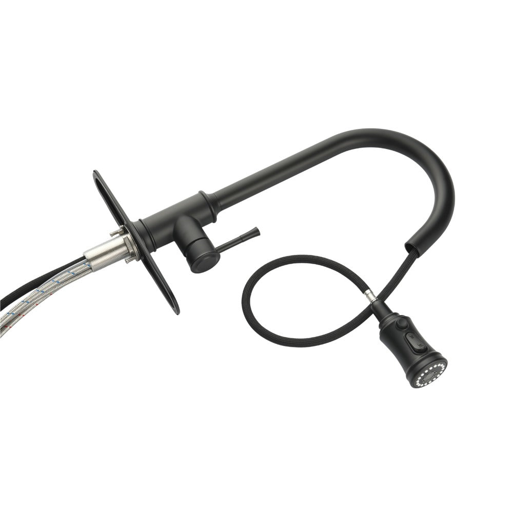 High Arc Single Handle Pull Out Kitchen Faucet Stainless Steel with Pull Down Sprayer