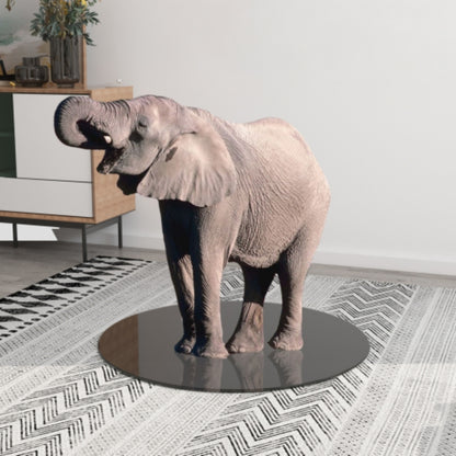 28 Inch Round Tempered Glass Table Top Black Glass Beveled Polished Edge