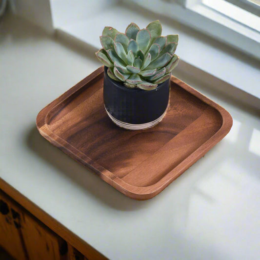 Square Plates, Small - Kalmar Home acacia wood plate