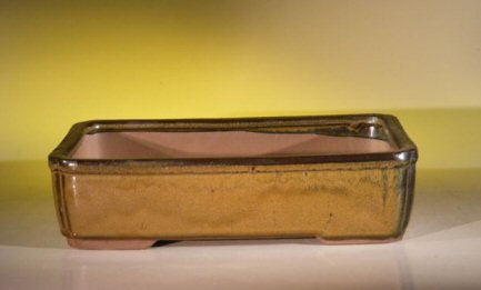 Olive Green Ceramic Bonsai Pot - Rectangle  11.5" x 8.5" x 3.0"