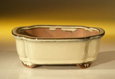 Beige Ceramic Bonsai Pot - Rectangle   6.125" x 5.0" x 2.125"