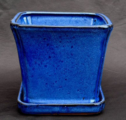 Blue Ceramic Bonsai Pot Square With Attached Humidity / Drip Tray   5.25" x 5.25" x 5.5"