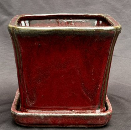 Parisian Red Ceramic Bonsai Pot Square With Attached Humidity / Drip Tray   5.25" x 5.25" x 5.5"