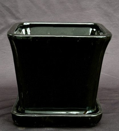 Black Ceramic Bonsai Pot Square With Attached Humidity / Drip Tray   5.25" x 5.25" x 5.5"