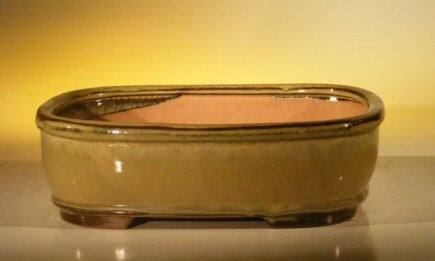 Olive Green Ceramic Bonsai Pot - Rectangle  10" x 8" x 3.125"