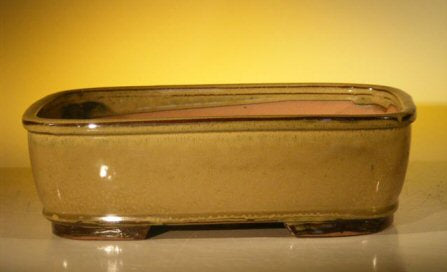 Olive Green Ceramic Bonsai Pot - Rectangle   12.0" x 9.5" x 3.375" OD  11.75" x 9.25" x 3" ID