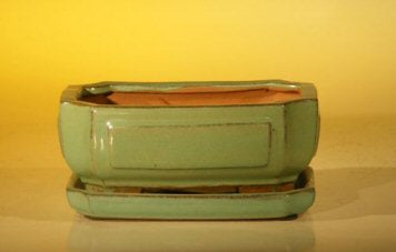 Light Green Ceramic Bonsai Pot - Rectangle  Professional Series with Attached Humidity/Drip tray  6.37" x 4.75" x 2.625"