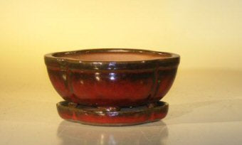 Parisian Red Ceramic Bonsai Pot- Oval  Attached Humidity/Drip Tray Professional Series 6.37" x 4.75" x 2.625"