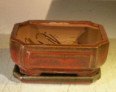 Parisian Red Ceramic Bonsai Pot - Rectangle  Professional Series with Attached Humidity/Drip tray   6.37" x 4.75" x 2.625"