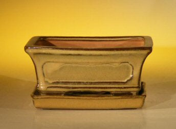Olive Green Ceramic Bonsai Pot - Rectangle  Professional Series with Attached Humidity/Drip tray   6.37" x 4.75" x 2.625"