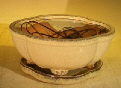 Beige Ceramic Bonsai Pot  Lotus Shaped  Professional Series with Attached Humidity/Drip Tray  6.37" x 4.75" x 2.625"