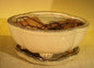 Beige Ceramic Bonsai Pot  Lotus Shaped  Professional Series with Attached Humidity/Drip Tray  6.37" x 4.75" x 2.625"