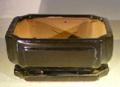 Black Ceramic Bonsai Pot- Rectangle  Professional Series With Attached Humidity/Drip Tray  8.5" x 6.75" x 4.0"
