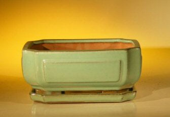 Light Green Ceramic Bonsai Pot - Rectangle Professional Series With Attached Humidity/Drip tray  8.5" x 6.5" x 3.5"