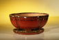 Parisian Red Ceramic Bonsai Pot - Oval  Professional Series with Attached Humidity/Drip tray   8.5" x 6.5" x 3.5"