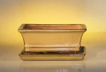Olive Green Ceramic Bonsai Pot - Rectangle Professional Series with Attached Humidity/Drip tray  8.5" x 6.5" x 3.5"