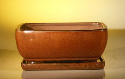 Aztec Orange Ceramic Bonsai Pot - Rectangle  Professional Series with Attached Humidity/Drip tray   10.5" x 8.0" x 4.5"