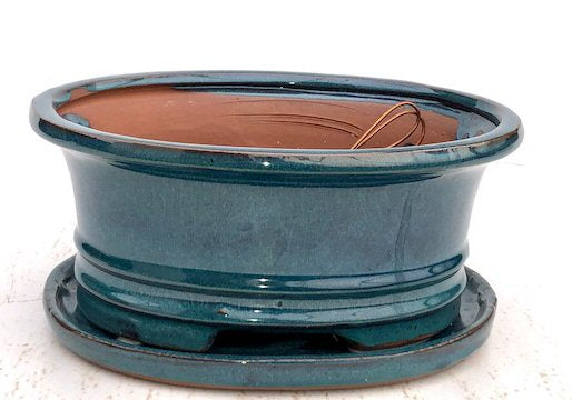 Blue / Green Ceramic Bonsai Pot - Oval  Professional Series with Attached Humidity/Drip Tray   10.75" x 8.5" x 4.125"