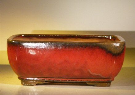Parisian Red Ceramic Bonsai Pot - Rectangle  Professional Series   12.0" x 9.5" x 4.75"