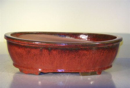 Parisian Red Ceramic Bonsai Pot - Oval  14.0" x 11.0" x 4.0"