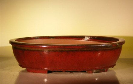 Parisian Red Ceramic Bonsai Pot - Oval  16.0" x 12.5" x 4.0"