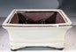 Beige Ceramic Bonsai Pot - Rectangle  Professional Series   6" x 4" x 2"
