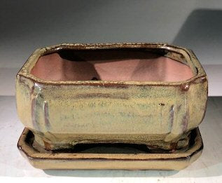 Olive Green Ceramic Bonsai Pot -Rectangle With Humidity Drip Tray 6" x 4.5" x 3"