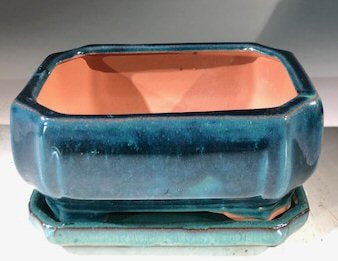 Blue / Green Ceramic Bonsai Pot - Rectangle  With Humidity Drip Tray 6" x 4.5" x 3"