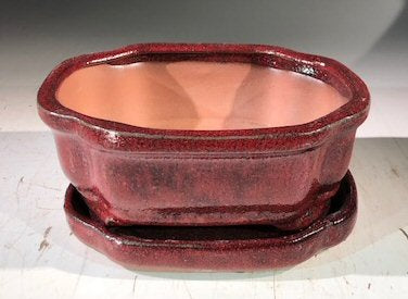 Parisian Red  Ceramic Bonsai Pot -Rectangle With Humidity Drip Tray 6" x 4.5" x 2.5"