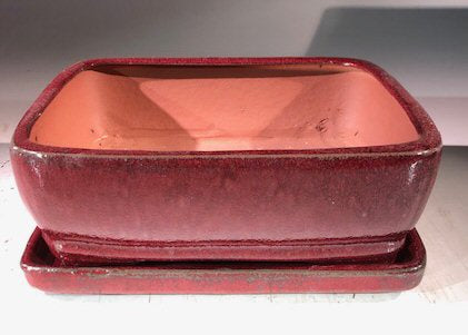 Parisian Red  Ceramic Bonsai Pot - Rectangle With Humidity Drip Tray 8" x 6" x 3"
